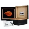 Art & Volutes - Cigar Humidor Starter Pack with Hygrometer product image