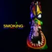 smoking - Multicolor Monster Water Pipe 31.5 cm product image