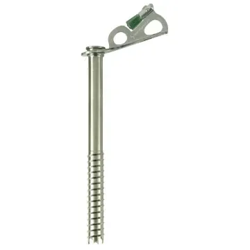BLACK DIAMOND - Express Ice Screw 22 cm - BD490213 product image