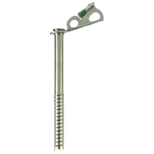 BLACK DIAMOND - Express Ice Screw 22 cm - BD490213 product image