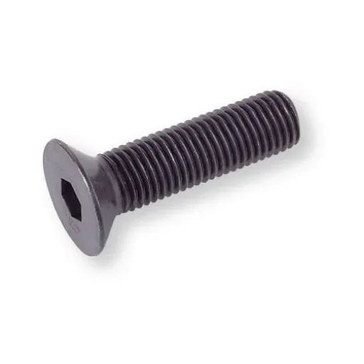 Divers - Stainless Steel Screws for Entre-Prises - 10x50 product image