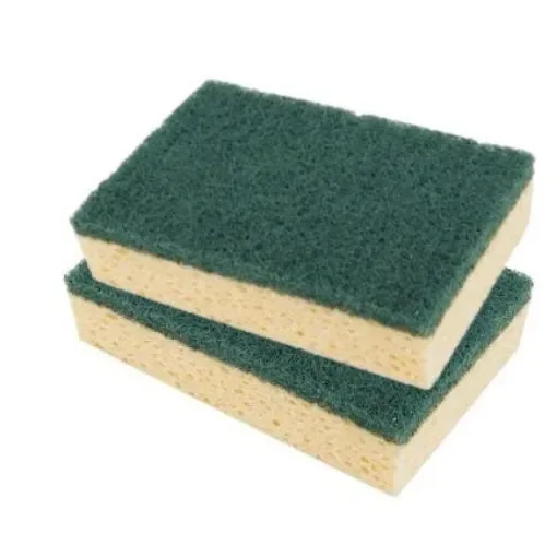 EUROMARINE - Green Abrasive Sponges Set of 2 - VDM 001190 product image