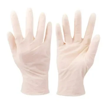 Divers - Latex Gloves X10 Powder-Free - product image