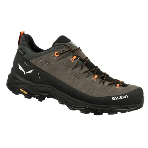 SALEWA - Alp Trainer 2 GTX Low Hiking Shoes - 00-0000061400 product image
