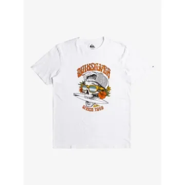 Quiksilver - Boys Short Sleeve Skull T-Shirt - EQBZT04796 product image