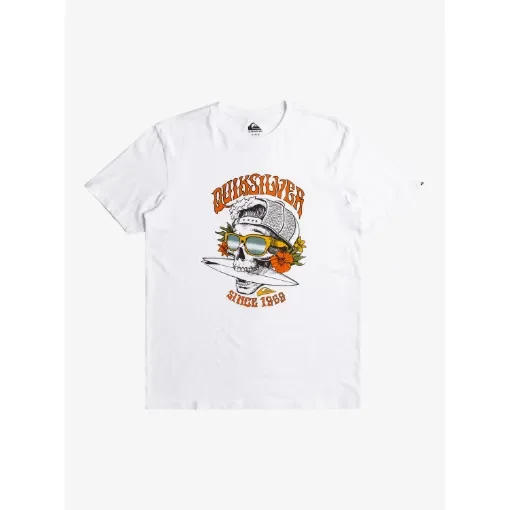 Quiksilver - Boys Short Sleeve Skull T-Shirt - EQBZT04796 product image