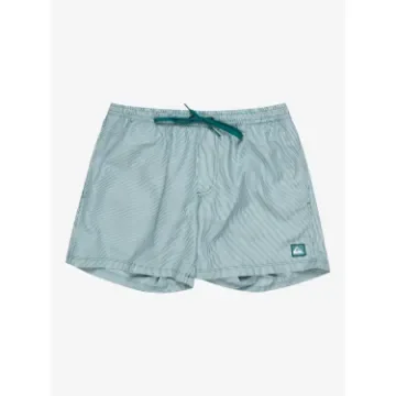 Quiksilver - Everyday Deluxe 15" Men's Swim Shorts - EQYJV04101 product image
