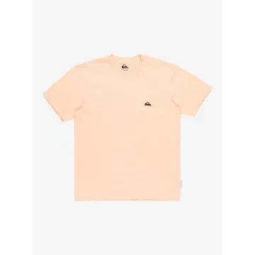 Quiksilver - Men's Short Sleeve T-Shirt Regular Fit - EQYZT07711 product image