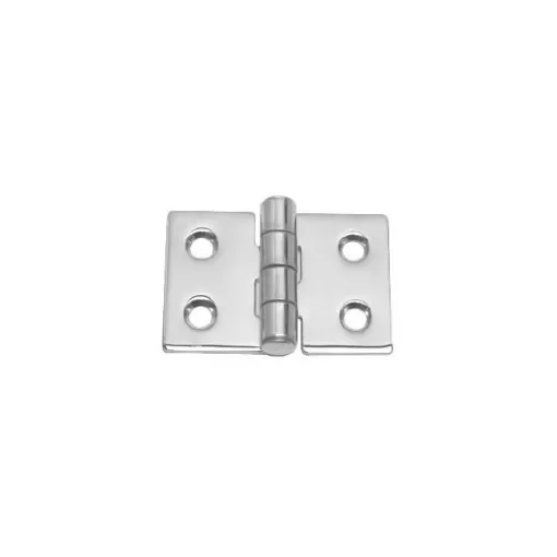 Coastal Group - Projection Hinge 54x39mm with Vibration Damping product image