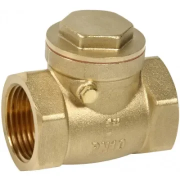 Brass Flap Valve - Female BSP Connection - 3/8 inch product image