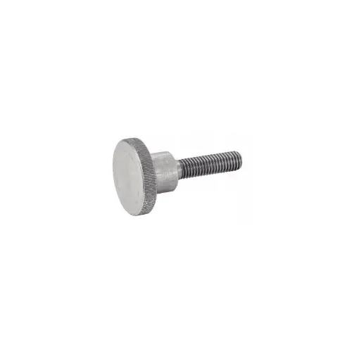 Knurled Stainless Steel A1 Screw (DIN 464) product image