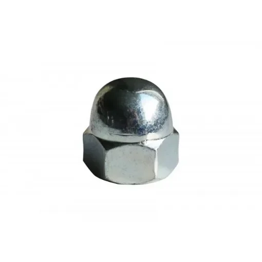 ECR BORGNES - Blind Nut Zinc M - Galvanized Steel Acorn Cap Nut product image