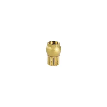 Brass Foot Valve with Strainer product image