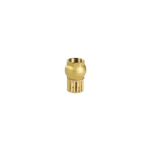 Brass Foot Valve with Strainer product image