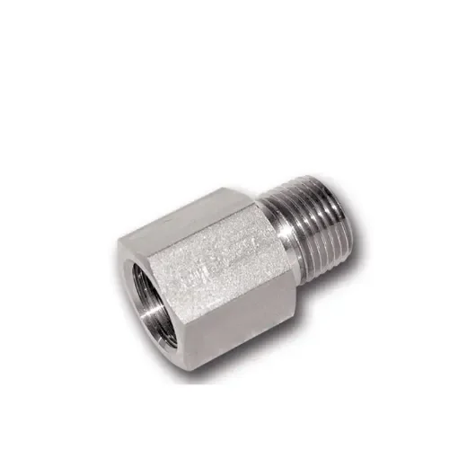 Stainless Steel NPT Female to BSP Male Adapter product image