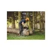 Scheppach - ProCut Petrol Chainsaw 51 cm 2000 W - 5910112904_never_used product image