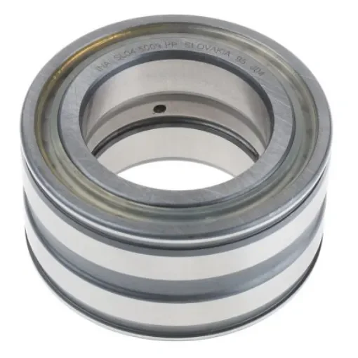 INA SL045009-PP 45mm I.D Cylindrical Roller Bearing, 75mm O.D product image