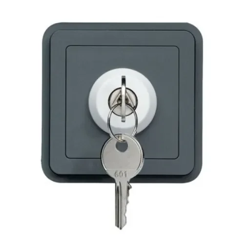 Hager Key Switch - - WNA036 product image
