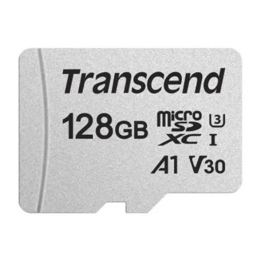 Transcend 128 GB MicroSD Micro SD Card, Class 10 - TS128GUSD300S product image