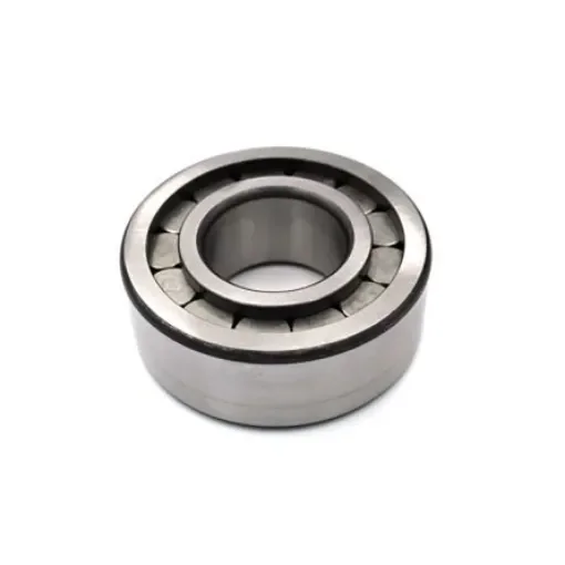 INA SL192310 50mm I.D Cylindrical Roller Bearing, 110mm O.D product image