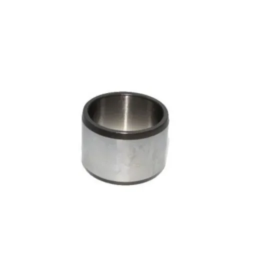 INA, IR50X55X25-XL product image