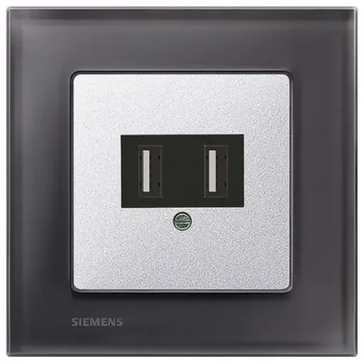 Dual USB charging unit, 2100 mA - 5TG2025-2 product image