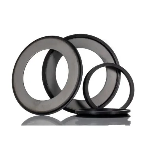 SKF TSN 316 A Ring Seal -, 80mm ID product image