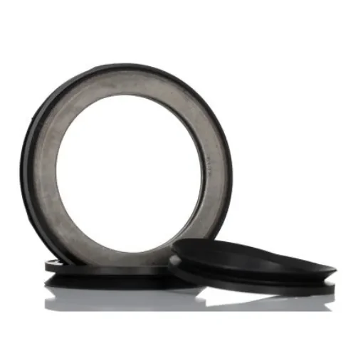 SKF TSN 513 A Ring Seal -, 60mm ID product image
