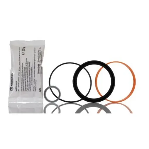 Norgren Service Kit for QM - QM/92080/00 product image