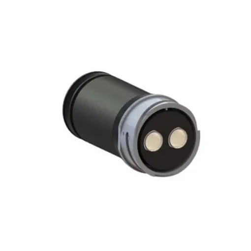 Bulgin Circular Connector, 2 Contacts, Cable Mount, Socket, Female, IP68, Buccaneer 9000 High Power Series - PXP9011/02/S/1 product image
