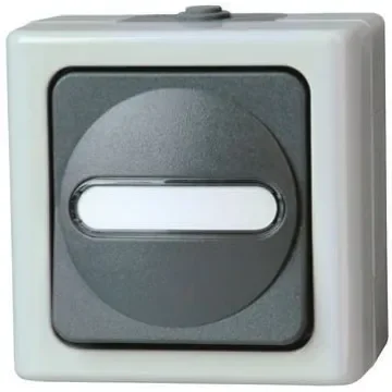 Kopp Grey Wet Room Switch - 5607.5600.9 product image