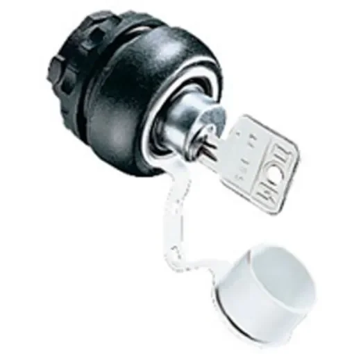 Bartec Bartec 2-position Key Switch Head, Latching - 05-0003-001200 product image