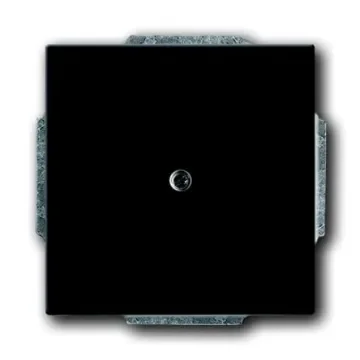 ABB Cover Plate - 2CKA001710A3614 product image