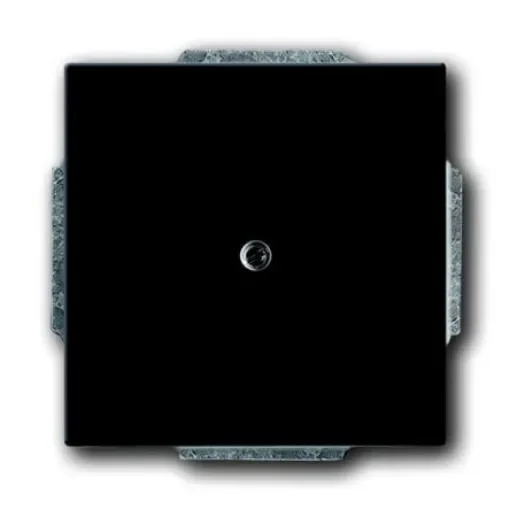 ABB Cover Plate - 2CKA001710A3614 product image