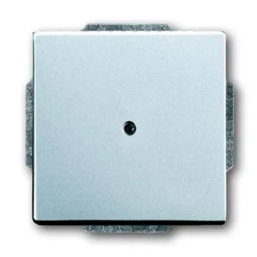 ABB Cover Plate - 2CKA001710A3665 product image
