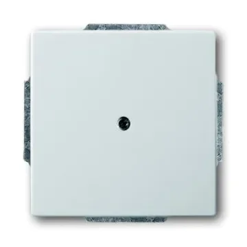 ABB Cover Plate - 2CKA001710A3752 product image
