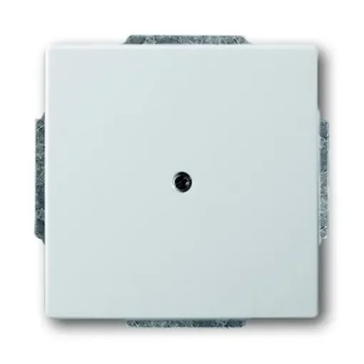 ABB Cover Plate - 2CKA001710A3752 product image