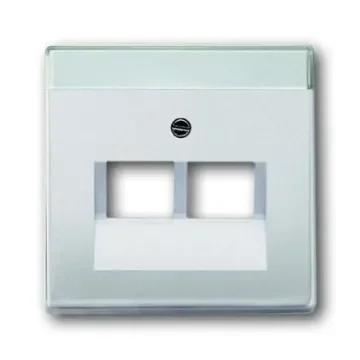 ABB White 2 Gang Metal RJ45 Cover Plate - 2CKA001710A3764 product image