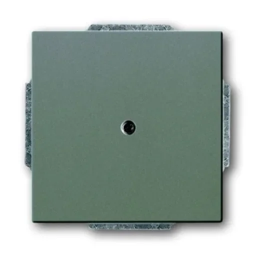 ABB Cover Plate - 2CKA001710A3844 product image