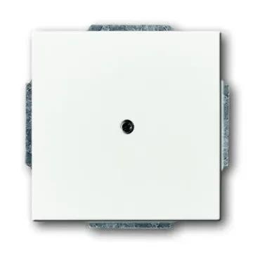 ABB Cover Plate - 2CKA001710A3878 product image