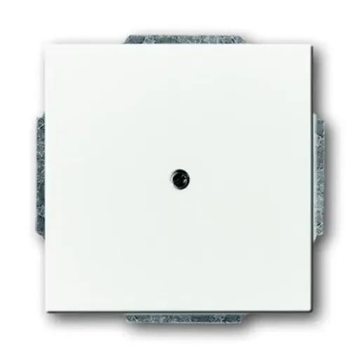ABB Cover Plate - 2CKA001710A3878 product image