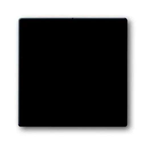 ABB Black 2 Gang Light Switch Cover - 2CKA001751A2930 product image