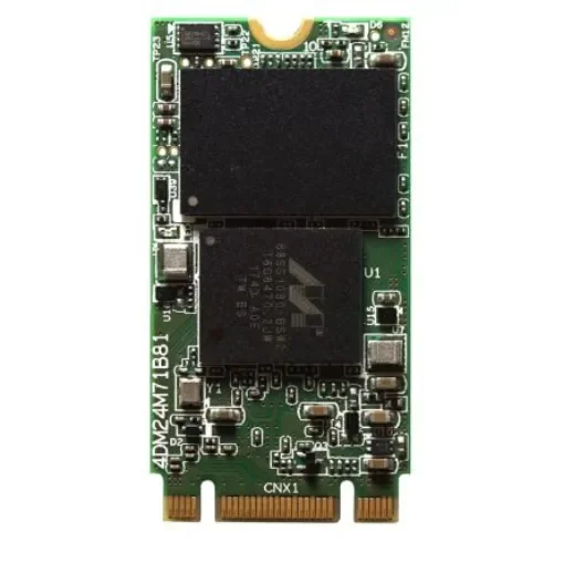 InnoDisk 3TG6-P M.2 (S42) 1 TB Internal SSD - DGM24-01TM71KCAQF product image