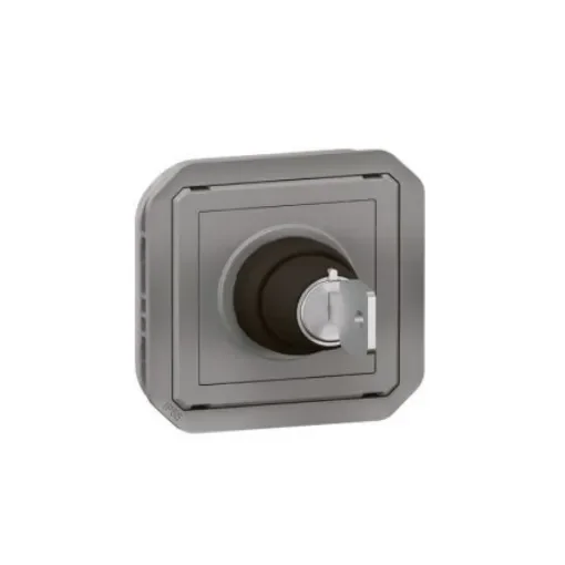 Legrand 1 Way Grey Switch Mechanism 10A, Plexo Series - 069534L product image