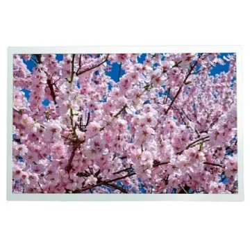 RS PRO TFT TFT LCD Display / Touch Screen, 12.1in XGA, 1280 x 800pixels - 2540015 product image