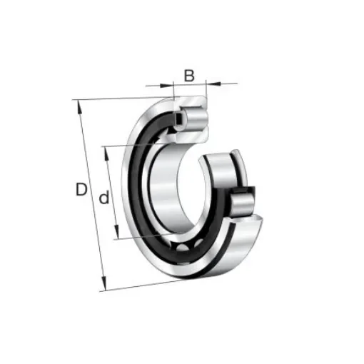 FAG NJ2206-E-XL-TVP2 30mm I.D Cylindrical Roller Bearing, 62mm O.D product image