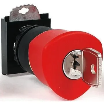 BACO Series Red Key Reset Push Button Head, 22mm Cutout, IP66 - L22GR01 product image
