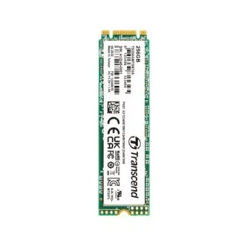 Transcend MTS970A M.2 (2280) 256 GB Internal SSD - TS256GMTS970A product image