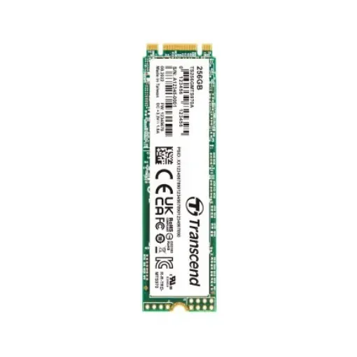 Transcend MTS970A M.2 (2280) 256 GB Internal SSD - TS256GMTS970A product image