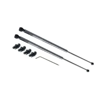 RS PRO Stainless Steel Gas Struts, with Ball & Socket Joint, 305.0mm Extended Length, 100.0mm Stroke Length - 2687076 product image